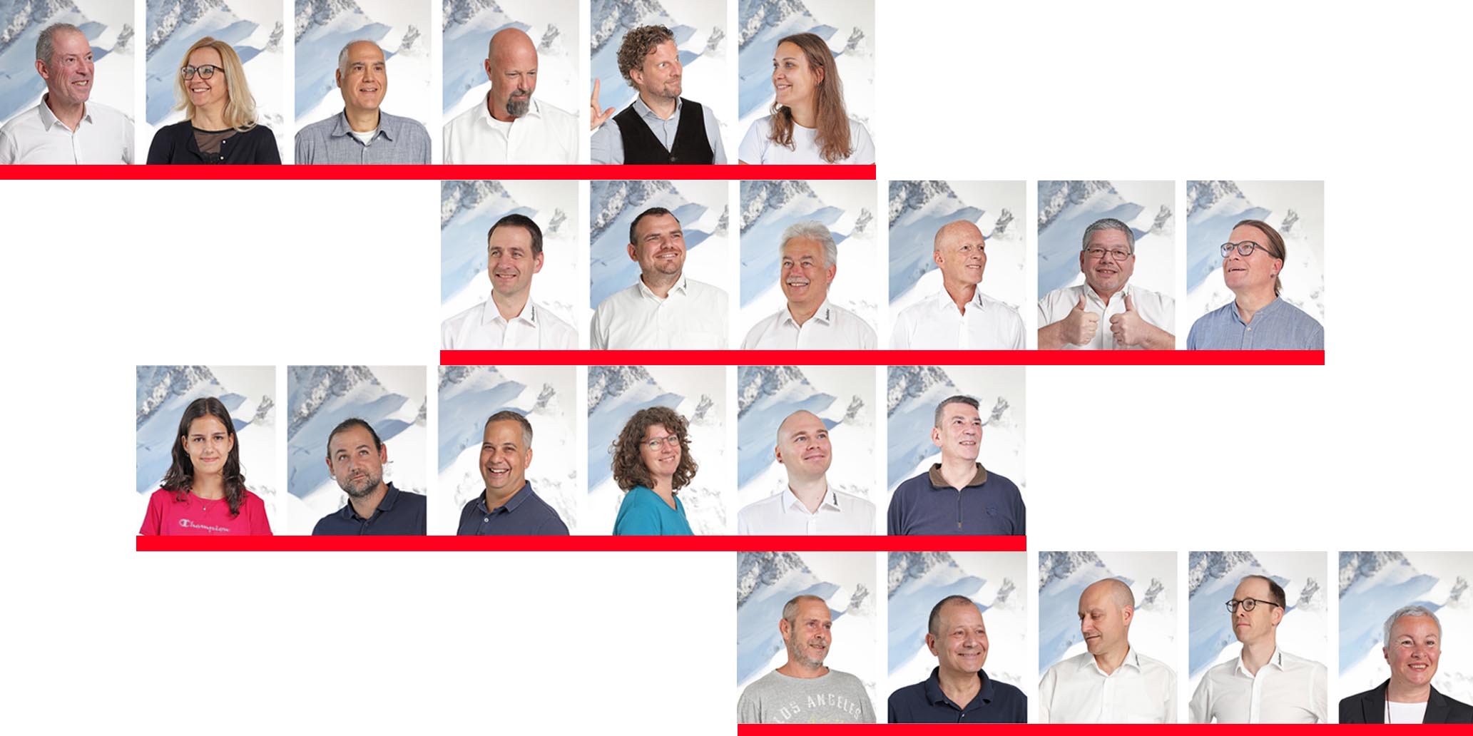 Image module