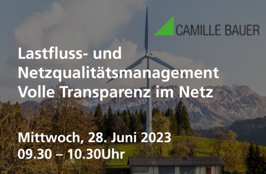 newsleetter camille webinar