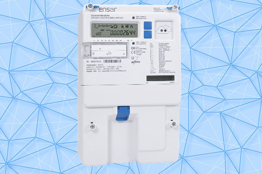 Industrial Meter eRS301