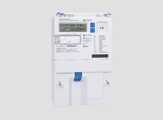 Industriezähler eRS301