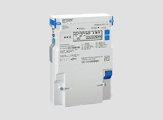 Domestic Meter eRS801